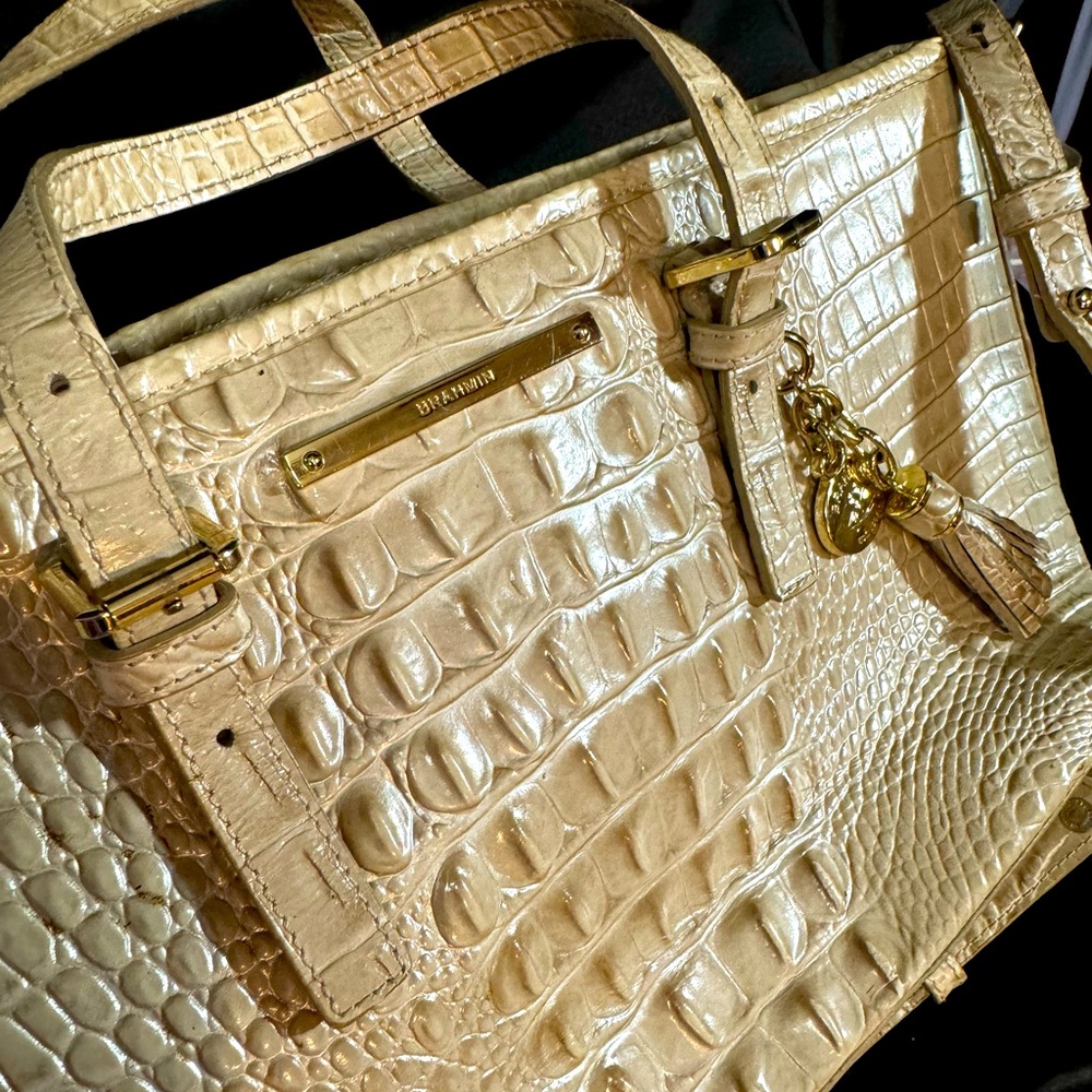 Authentic - Picture 13 of 15